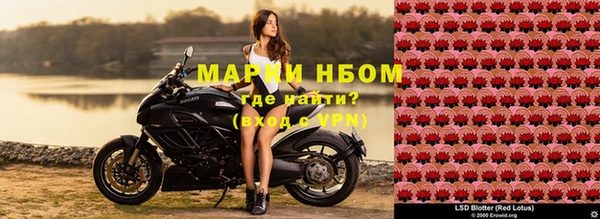 таблы Надым
