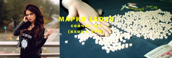 таблы Надым